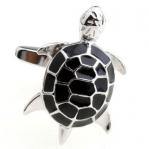 blk turtle.JPG